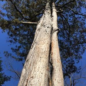 Meet your Posher, Alida